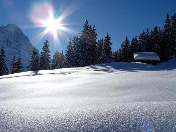 Hotel Steinbock Grindelwald Ngoại thất bức ảnh